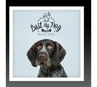 Various Artist - Lost My Dog 10x10: 2010