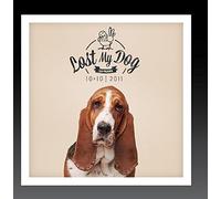 Various Artist - Lost My Dog 10x10: 2011