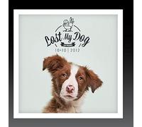 Various Artist - Lost My Dog 10x10: 2012