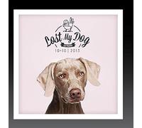 Various Artist - Lost My Dog 10x10: 2013