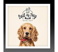 Various Artist - Lost My Dog 10x10: 2014