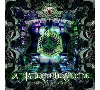 Various Artist - Matter Of Perspective: Compiled By Nuks