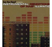 Various Artist - Nas: Can You Flow? Instrumental Renditions Of Nas