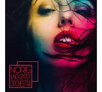 Various Artist - Norig & No Gypsy Orchestra
