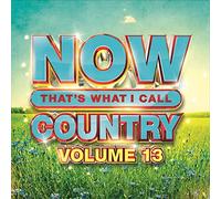 Artisti Vari - Now That's What I Call Country Volume 13 / Various - Cd