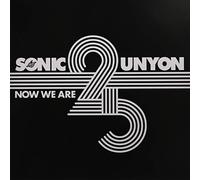 Various Artist - Now We Are 25