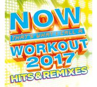 Various Artist - Now Workout Hits & Remixes