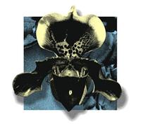 Various Artist - Nowhere02