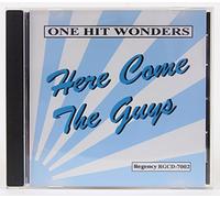 Various Artist - One Hit Wonders-Here Come The Guys