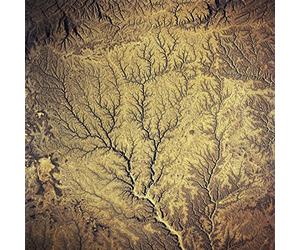 Various Artist - Passion - Sources