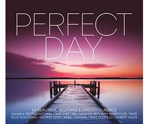 Various Artist - Perfect Day