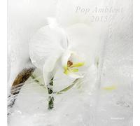 Various Artist - Pop Ambient 2015