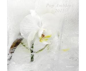 Various Artist - Pop Ambient 2015