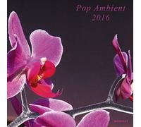 Various Artist - Pop Ambient 2016