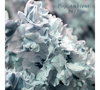 Various Artist - Pop Ambient 2017