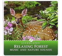 Various Artist - Relaxing Forest