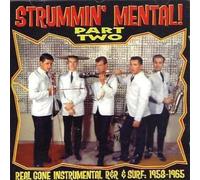 Various Artist - Strummin Mental 2