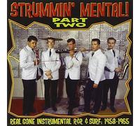 Various Artist - Strummin Mental 2