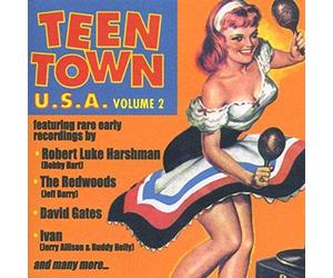 Various Artist - Teen Town Usa 2