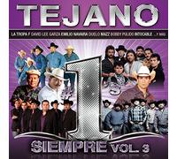 Various Artist - Tejano #1's Siempre 3
