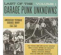 Various Artist - The Last of the Garage Punk Unknowns, Volume 1