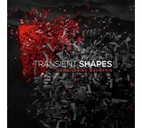 Various Artist - Transient Shapes