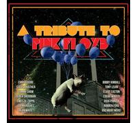Various Artists A Tribute to Pink Floyd (CD) Album with DVD