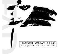 Various Artist - Under What Flag - a Tribute to Fad Gadget
