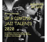 Various Artist - Up & Coming Talents 2020