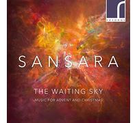 Various Artist - Waiting Sky