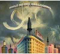 Various Artist - While No One Was Looking: Toasting 20 Years (2 CD)