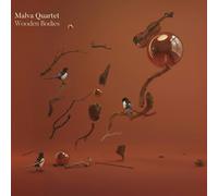 Various Artist Wooden Bodies (CD)