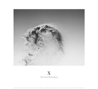 Various Artist - X: Ten Years Of Artefacts