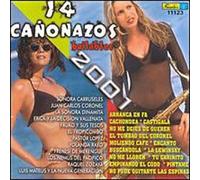 Various Artists - 14 Canonazos Bailables 2001