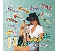 Various Artists - 14 Corridos Con Banda 2