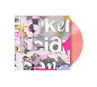 Various Artists A Celebration of Broken Social Scene's 'You Forgot It (Vinyl LP)