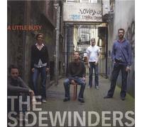 VARIOUS ARTISTS A Little Busy (CD)