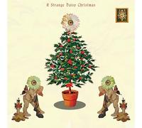 Various Artists - A Strange Daisy Christmas (Various Artists)