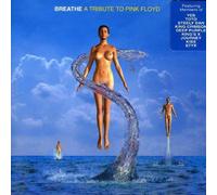 Various Artists - A Tribute To Pink Floyd