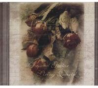 Various Artists - Acoustic Praise