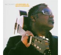 Various Artists - Adventures In Black Sunshine
