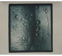 Various Artists - After the Flood
