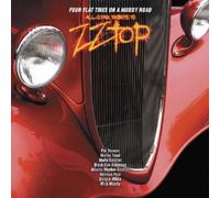 Various Artists - All-Star Tribute To Zz Top