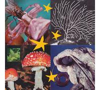 Various Artists All Things Considered Vol.2 (Vinyl LP)