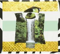 Various Artists Alziend Oor Vol.2 (CD)