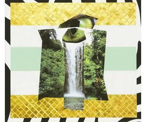 Various Artists Alziend Oor Vol.2 (CD)