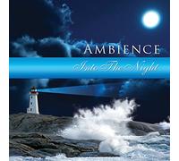 Various Artists - Ambience: Into The Night