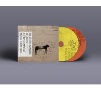 Various Artists An Irish Almanac of Noise & Experimental Music from 2025 (CD)