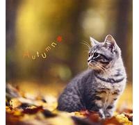 Various Artists - Autumn Favorites