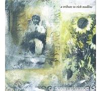 Various Artists - Awesome God: A Tribute To Rich Mullins by Various Artists (1998) Audio CD